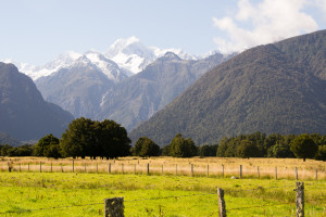NZ (211)